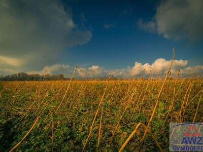 Haus kaufen in 9181 Feistritz