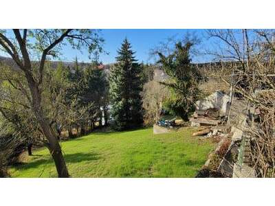 Grundstück kaufen in 2500 Siegenfeld