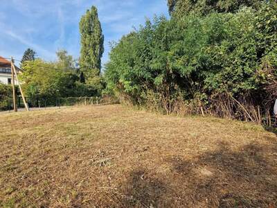 Grundstück kaufen in 1170 Wien