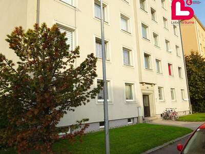 Altbauwohnung mieten in 4240 Freistadt (Bild 3)