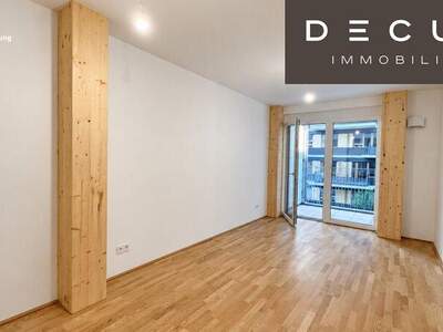 Terrassenwohnung mieten in 1030 Wien (Bild 1)