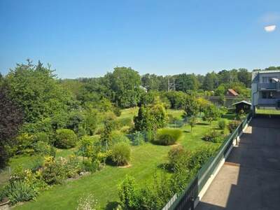 Terrassenwohnung kaufen in 3420 Kritzendorf (Bild 3)