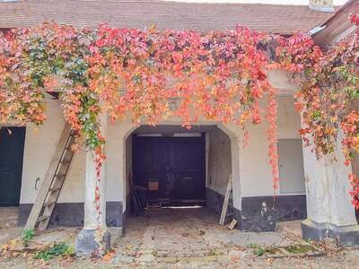 Haus kaufen in 2042 Guntersdorf