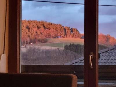 Einfamilienhaus kaufen in 4230 Pregarten (Bild 5)