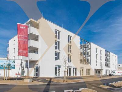Gewerbeobjekt mieten in 4060 Leonding (Bild 1)