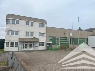 Gewerbeobjekt mieten in 4221 Steyregg