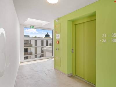 Wohnung mieten in 3441 Judenau