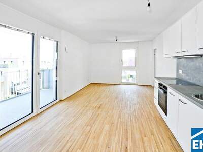 Terrassenwohnung kaufen in 1220 Wien (Bild 1)