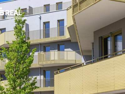 Terrassenwohnung kaufen in 1210 Wien (Bild 5)