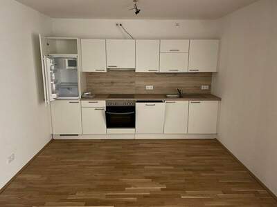 Terrassenwohnung mieten in 1220 Wien (Bild 1)