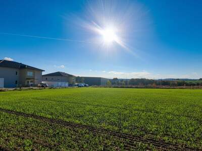 Haus kaufen in 4921 Hohenzell
