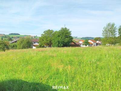 Einfamilienhaus kaufen in 4942 Wippenham