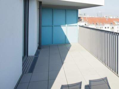Terrassenwohnung mieten in 1220 Wien (Bild 3)