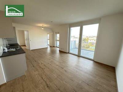 Terrassenwohnung mieten in 1220 Wien (Bild 1)