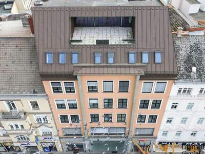 Gewerbeobjekt mieten in 4020 Linz (Bild 3)