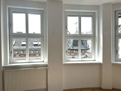 Gewerbeobjekt mieten in 4020 Linz (Bild 3)