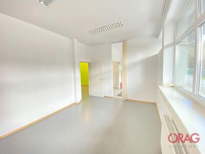 Gewerbeobjekt mieten in 5300 Hallwang (Bild 1)