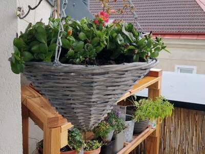 Mietwohnung in 1140 Wien (Bild 4)