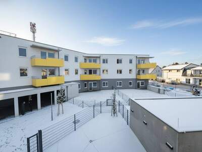 Wohnung mieten in 2700 Wiener Neustadt