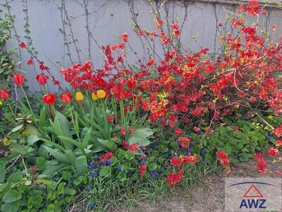 Haus kaufen in 8324 Kirchberg