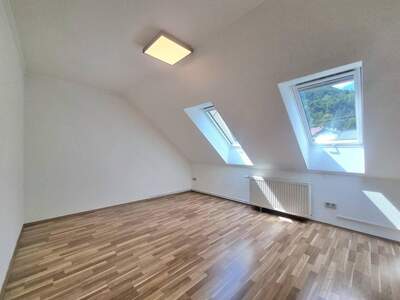 Wohnung mieten in 9754 Steinfeld