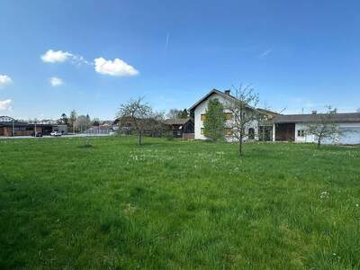 Grundstück kaufen in 5231 Schalchen (Bild 3)