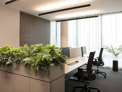 Gewerbeobjekt mieten in 1020 Wien (Bild 4)