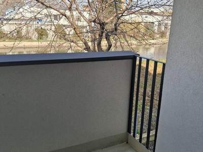 Terrassenwohnung mieten in 2486 Pottendorf (Bild 2)