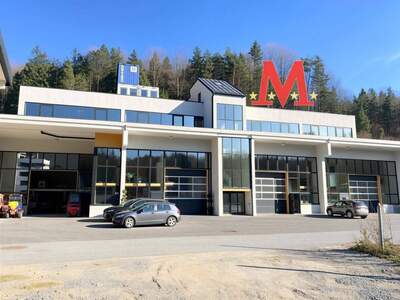 Gewerbeobjekt kaufen in 6335 Thiersee