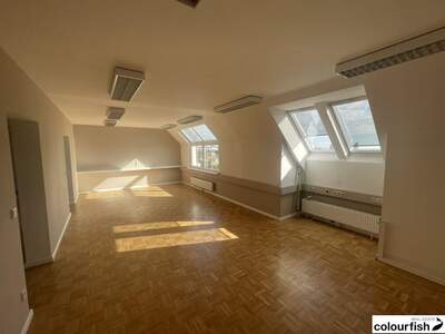 Gewerbeobjekt mieten in 1230 Wien