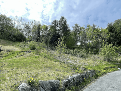 Grundstück provisionsfrei kaufen in 6141 Schönberg