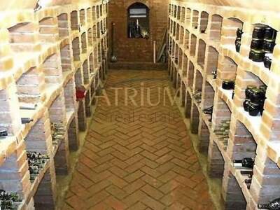 Grundstück kaufen in 2172 Schrattenberg