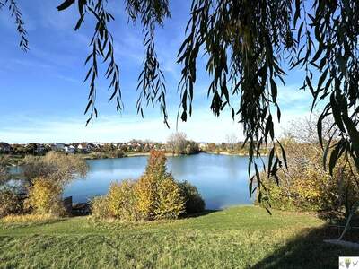 Haus kaufen in 2485 Wimpassing