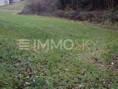 Grundstück kaufen in 4201 Gramastetten (Bild 4)