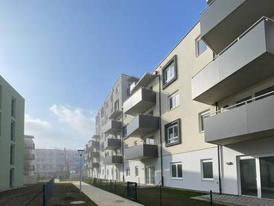 Wohnung mieten in 2700 Wiener Neustadt