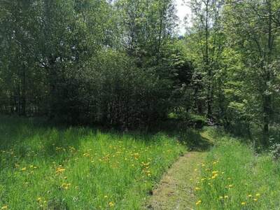 Grundstück kaufen in 9064 Pischeldorf