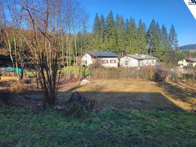 Grundstück kaufen in 4180 Saumstraß (Bild 2)