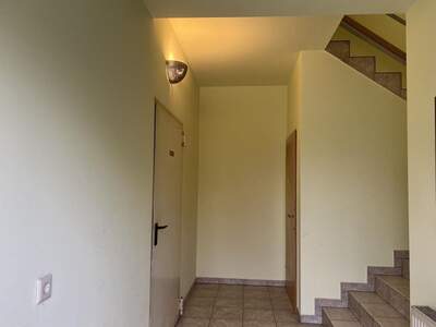 Gewerbeobjekt mieten in 2492 Eggendorf (Bild 5)