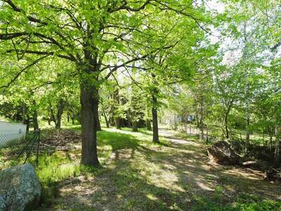 Grundstück kaufen in 2102 Hagenbrunn