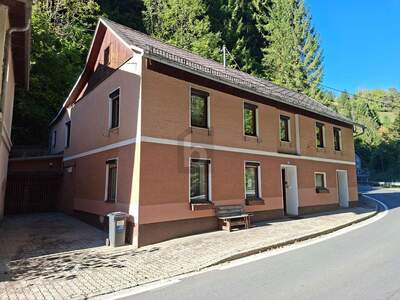 Einfamilienhaus kaufen in 9375 Hüttenberg