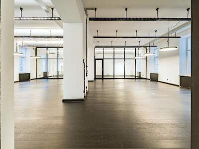 Gewerbeobjekt mieten in 1060 Wien (Bild 5)