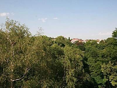 Apartment provisionsfrei mieten in 1190 Wien