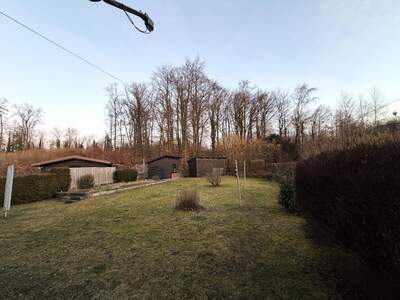 Haus mit Garten kaufen in 5282 Ranshofen (Bild 5)