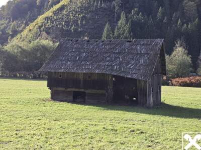 Grundstück kaufen in 9135 Ebriach (Bild 4)