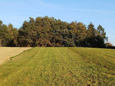 Gewerbeobjekt kaufen in 4941 Mehrnbach