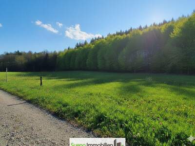 Grundstück kaufen in 4645 Grünau (Bild 1)