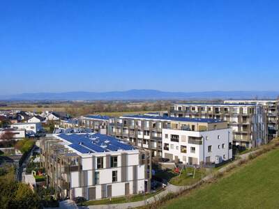 Wohnung kaufen in 2435 Ebergassing