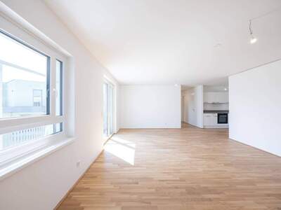 Wohnung mieten in 2700 Wiener Neustadt