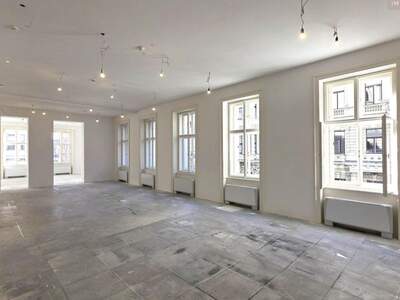 Gewerbeobjekt mieten in 1010 Wien (Bild 2)