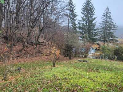 Grundstück kaufen in 3002 Purkersdorf (Bild 3)